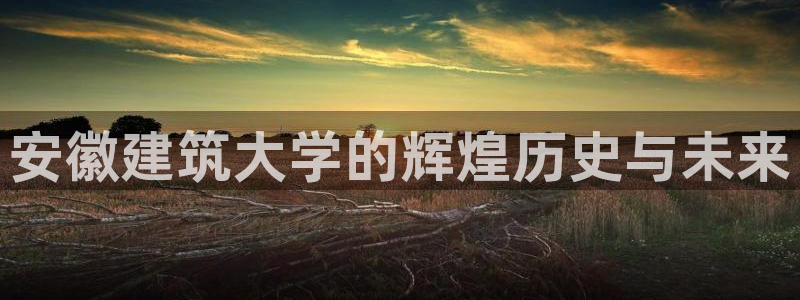 谈球吧下载：安徽建筑大学的辉煌历史与未来